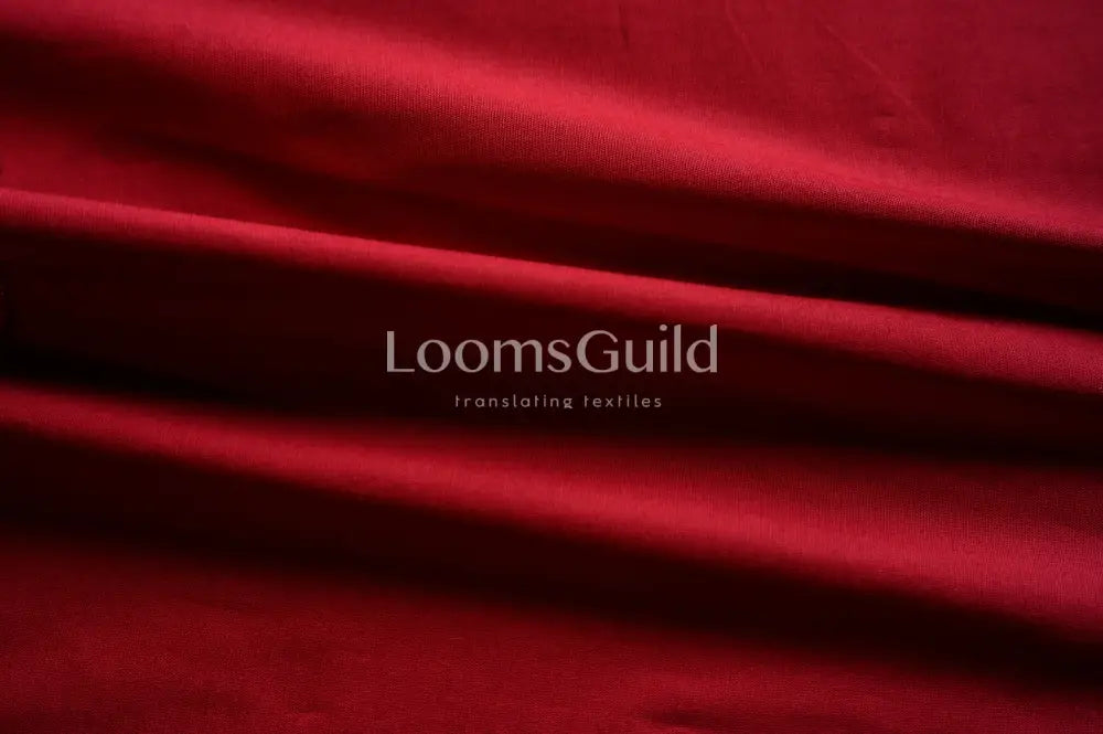 Poplin Lycra Poplin Lycra 4