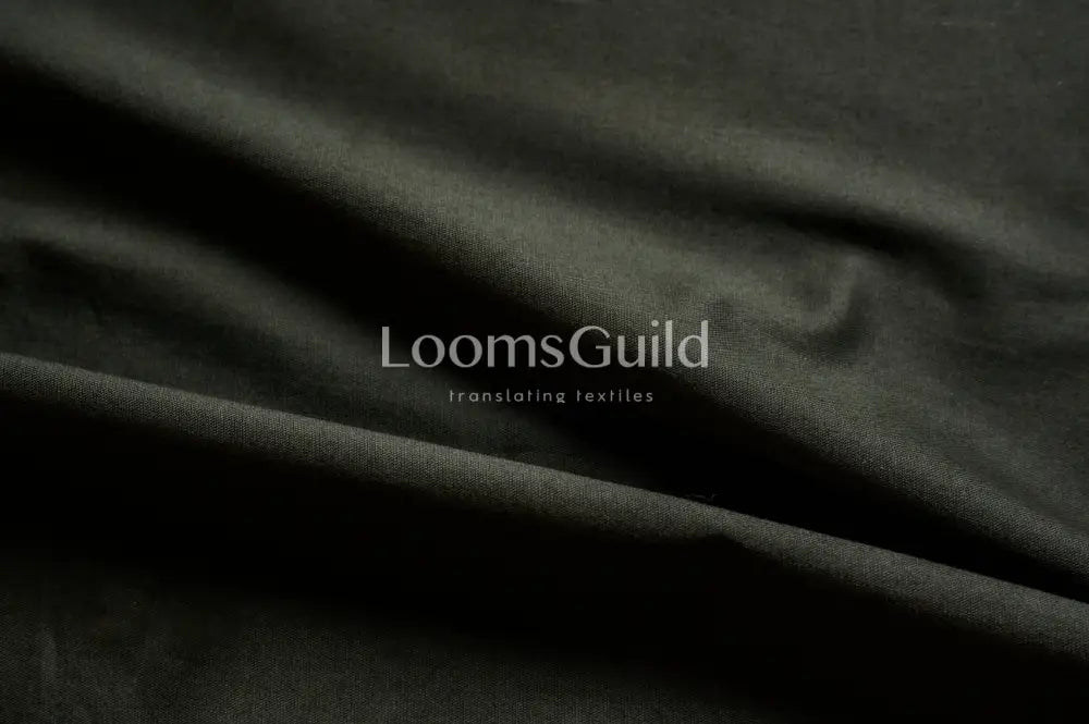 Poplin Lycra Poplin Lycra 8